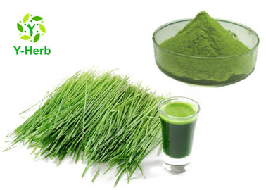 Wheatgrass Vegetable Extract Powder Green Wheat Grass Juice Concentrate Powder