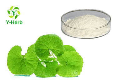 464-92-6 Centella Asiatica Extract Powder Asiaticoside 40%-95% Asiatic Acid 95%