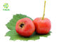 P.E.  Hawthorn Berry Juice Concentrate Powder Natural Fructus Crataegi