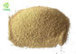 Brewer Fermentation Food Grade Torula Yeast Extract Beta-Glucan Powder 30%-80%