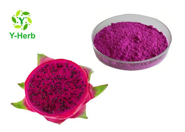 Water Soluble Herbal Extract Powder Organic Pitaya Powder 80 Mesh / 100 Mesh